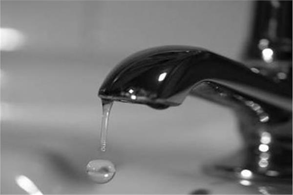 صورة موضوعية