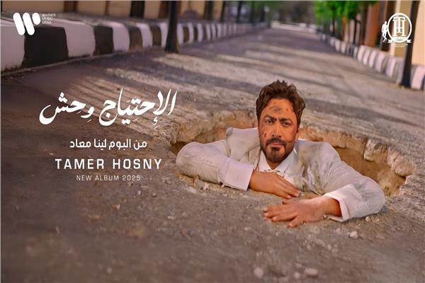 تامر حسني 