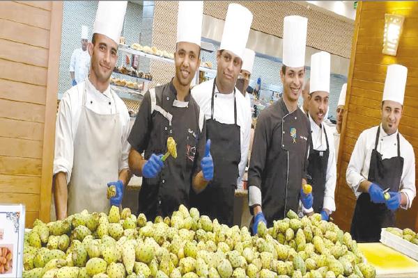 مهرجان للتين الشوكى فى الغردقة