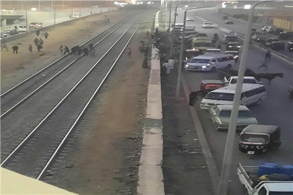 إصابة شخص أثناء عبوره شريط السكة الحديد بأسوان
