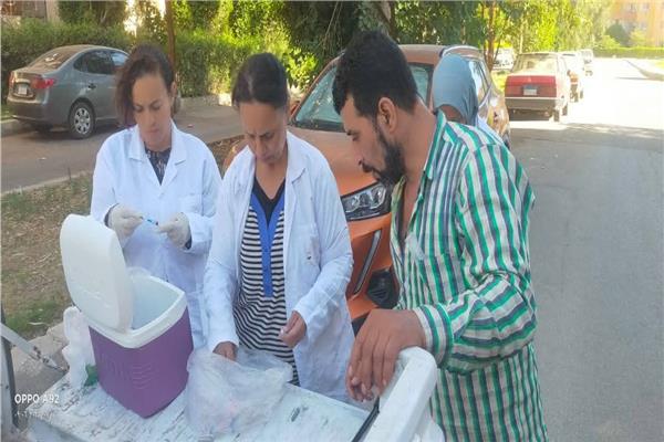 تطعيم وتحصين ٢٦٩ كلب ضال بعد رصد حالات عقر في بعض المناطق 