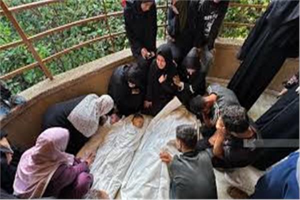 مجازر الاحتلال مستمرة في غزة 