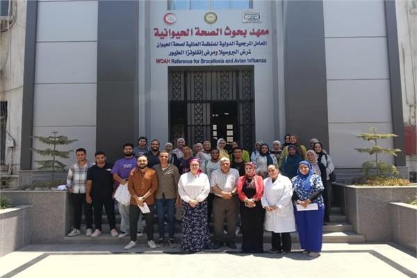 صورة موضوعية