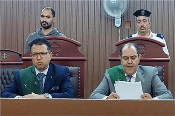 هيئة المحكمة برئاسة المستشار أمير فايز حنا