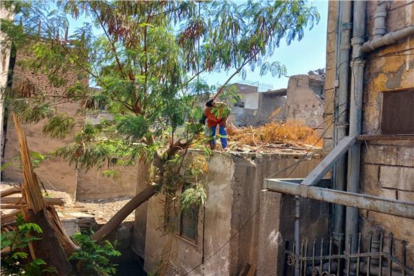 حملة لنظافة الأسطح بالحى من شارع المعز