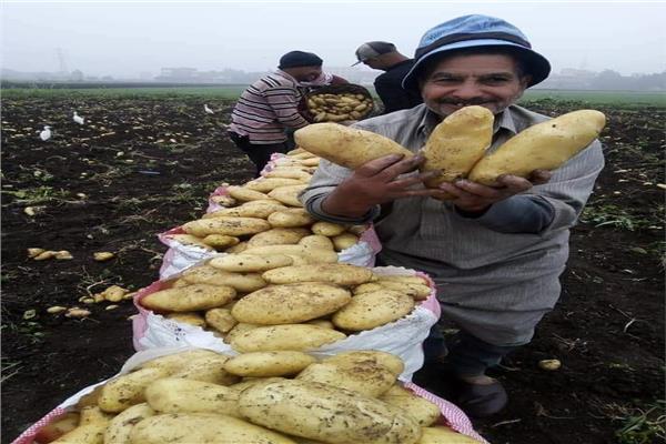 صورة موضوعية