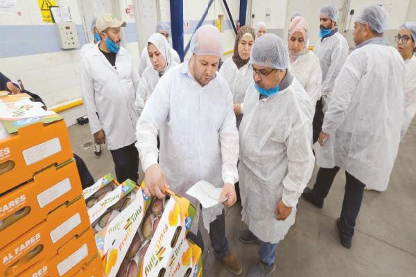  ارتفاع ملحوظ فى حجم الصادرات الزراعية