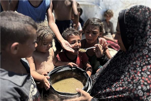عدد ضحايا المجاعة وسوء التغذية