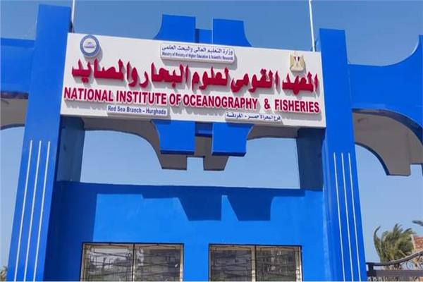 معهد علوم البحار