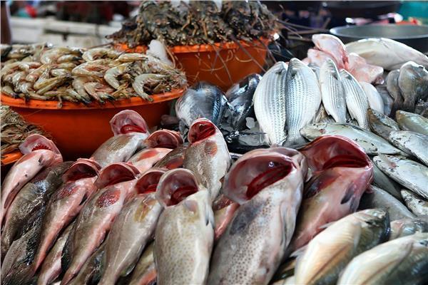 الأسماك- صورة أرشيفية 