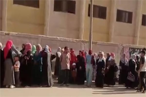انتخابات مجلس الشيوخ 2025