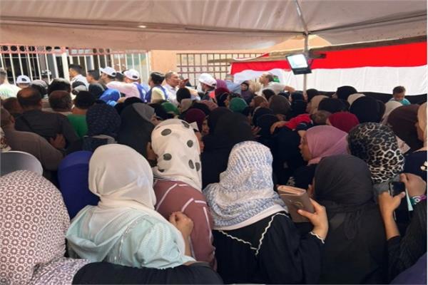 انتخابات مجلس الشيوخ
