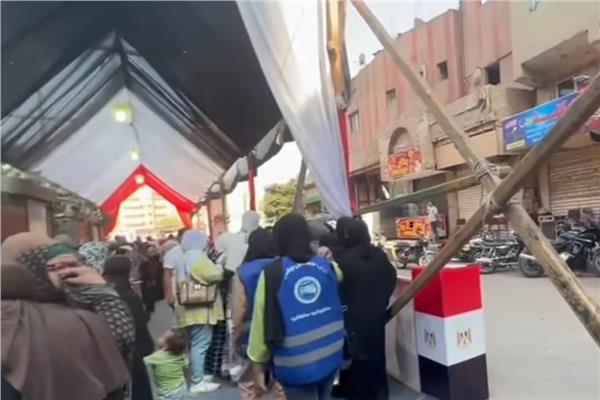 انتخابات مجلس الشيوخ 2025