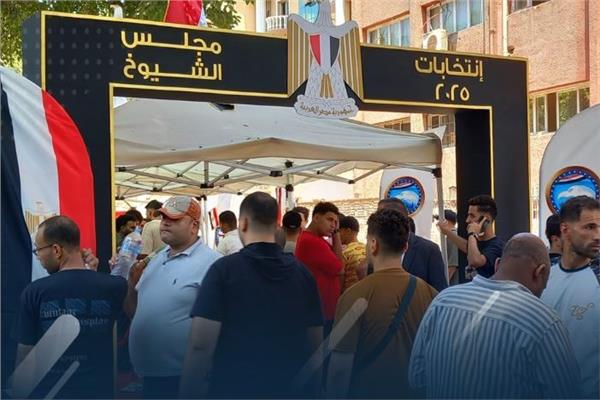 انتخابات الشيوخ 