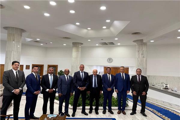 الشركة القابضة لمصر للطيران