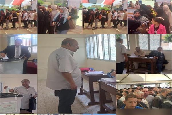 اليوم الثاني لانتخابات مجلس الشيوخ 