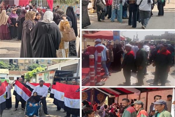 انتخابات مجلس الشيوخ 2025