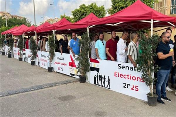 انتخابات مجلس الشيوخ 2025