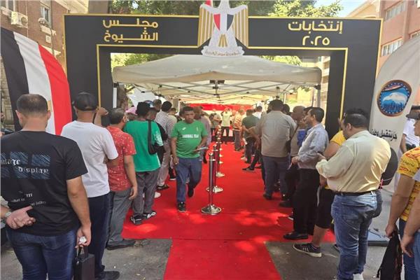 انتخابات مجلس الشيوخ - صورة أرشيفية