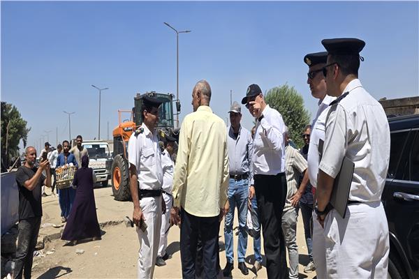 موضوعية