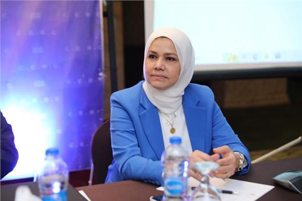 رشا عبد العال، رئيس مصلحة الضرائب المصرية