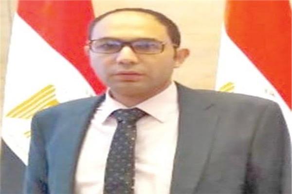 حمادة بكر، عضو الهيئة العليا لحزب الوفد