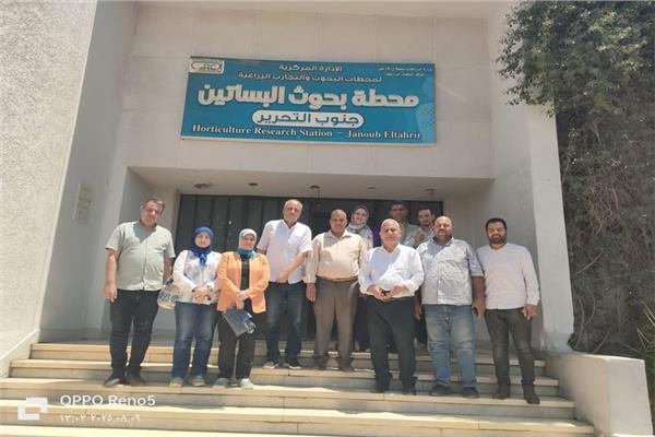 صورة موضوعية