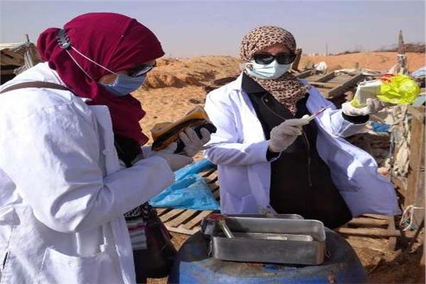  تحصين 534 ألف و 779 رأس ماشية ضد الحمى القلاعية  والوادي المتصدع 