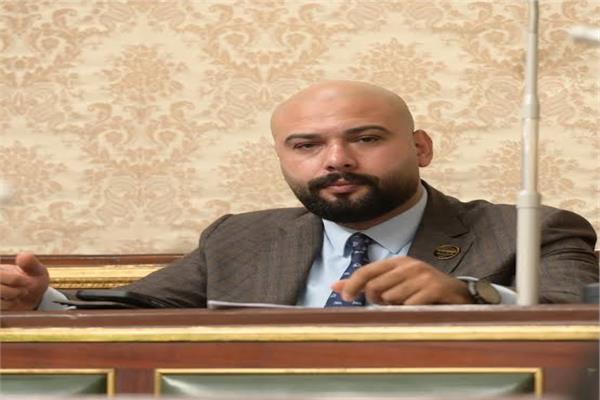 النائب إبراهيم الديب