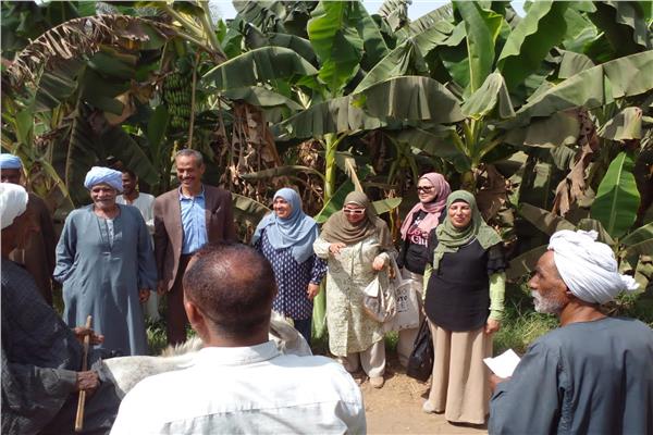 ندوة توعوية حول تدوير مخلفات الموز بقرية دندرة