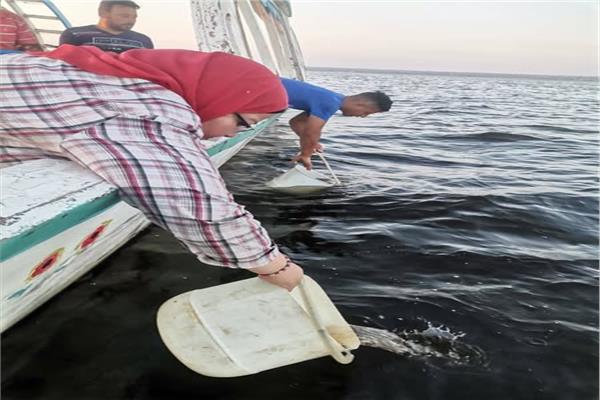 تنمية البحيرات يطلق الدفعة الرابعة من يرقات الجمبري في بحيرة قارون