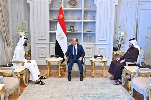 السيد الرئيس عبد الفتاح السيسي خلال اللقاء