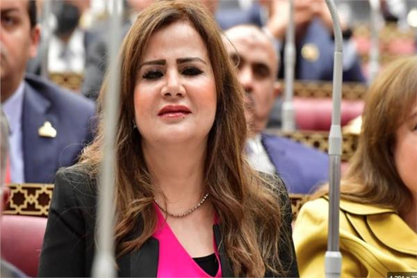 النائبة أمل رمزي، عضو مجلس الشيوخ
