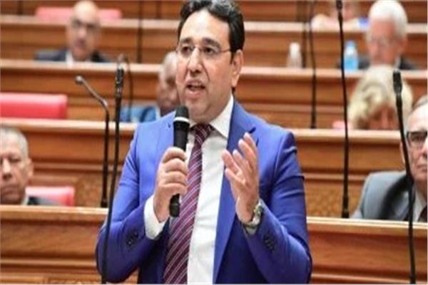 الدكتور أيمن محسب، وكيل لجنة الشئون العربية بمجلس النواب