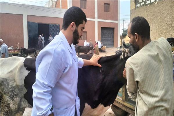 قافلة بيطرية مجانية بقرية دنشواي