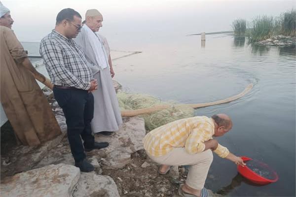 صورة من الإنزال