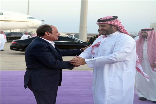 السيد الرئيس عبد الفتاح السيسى