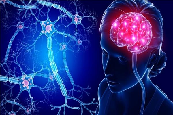 كيف تدمّر هذه السلوكيات دماغك مع العمر