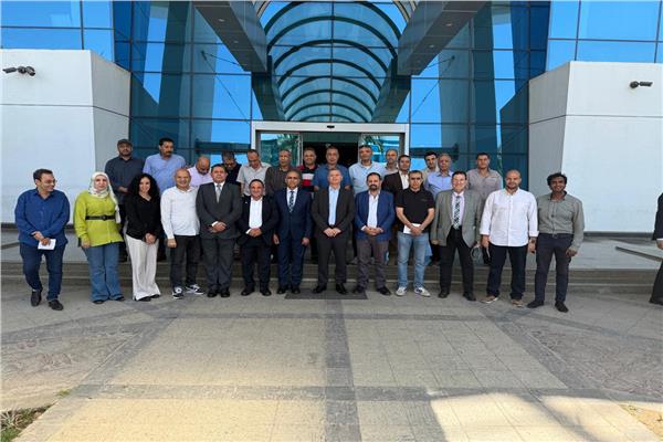 محررو قطاع الاتصالات وتكنولوجيا المعلومات