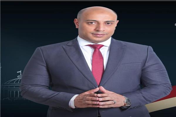 النائب محمد السيد