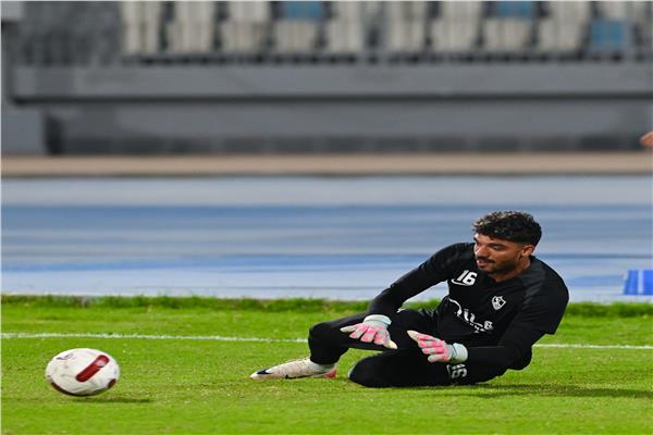 محمد صبحي