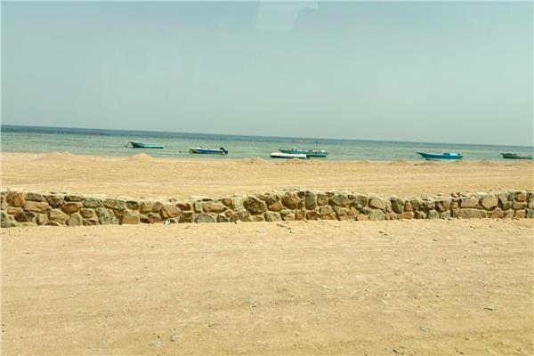 موضوعية