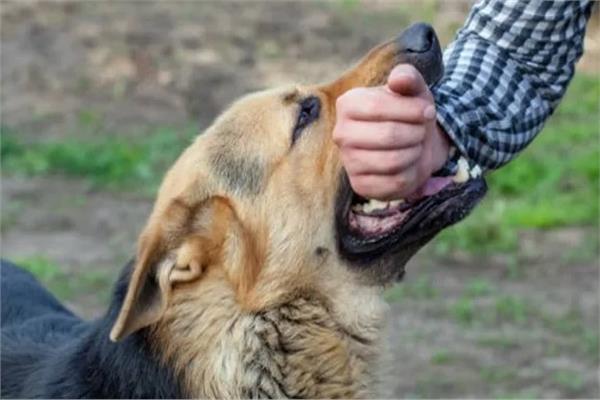 صورة موضوعية