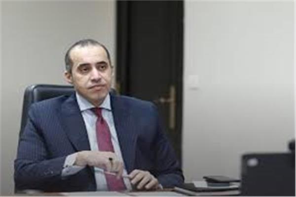 المستشار محمود فوزى