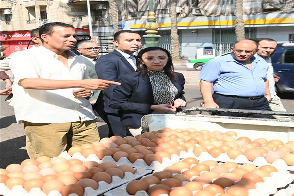 محافظ البحيرة
