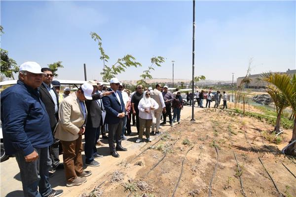 صورة موضوعية