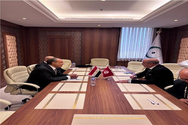  د. بدر عبد العاطي وزير الخارجية والهجرة خلال اللقاء