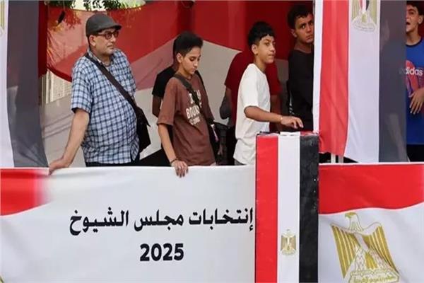 انتخابات مجلس الشيوخ 