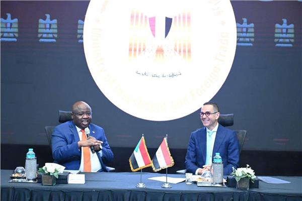 صورة موضوعية