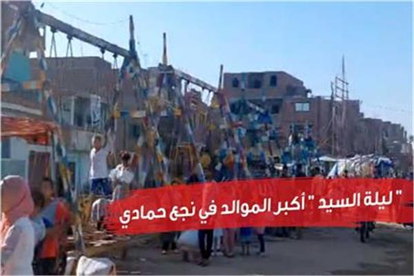 فيديو | ليلة السيد.. الآلاف يحتفلون بأكبر الموالد في نجع حمادي.. مظاهر خاصة 